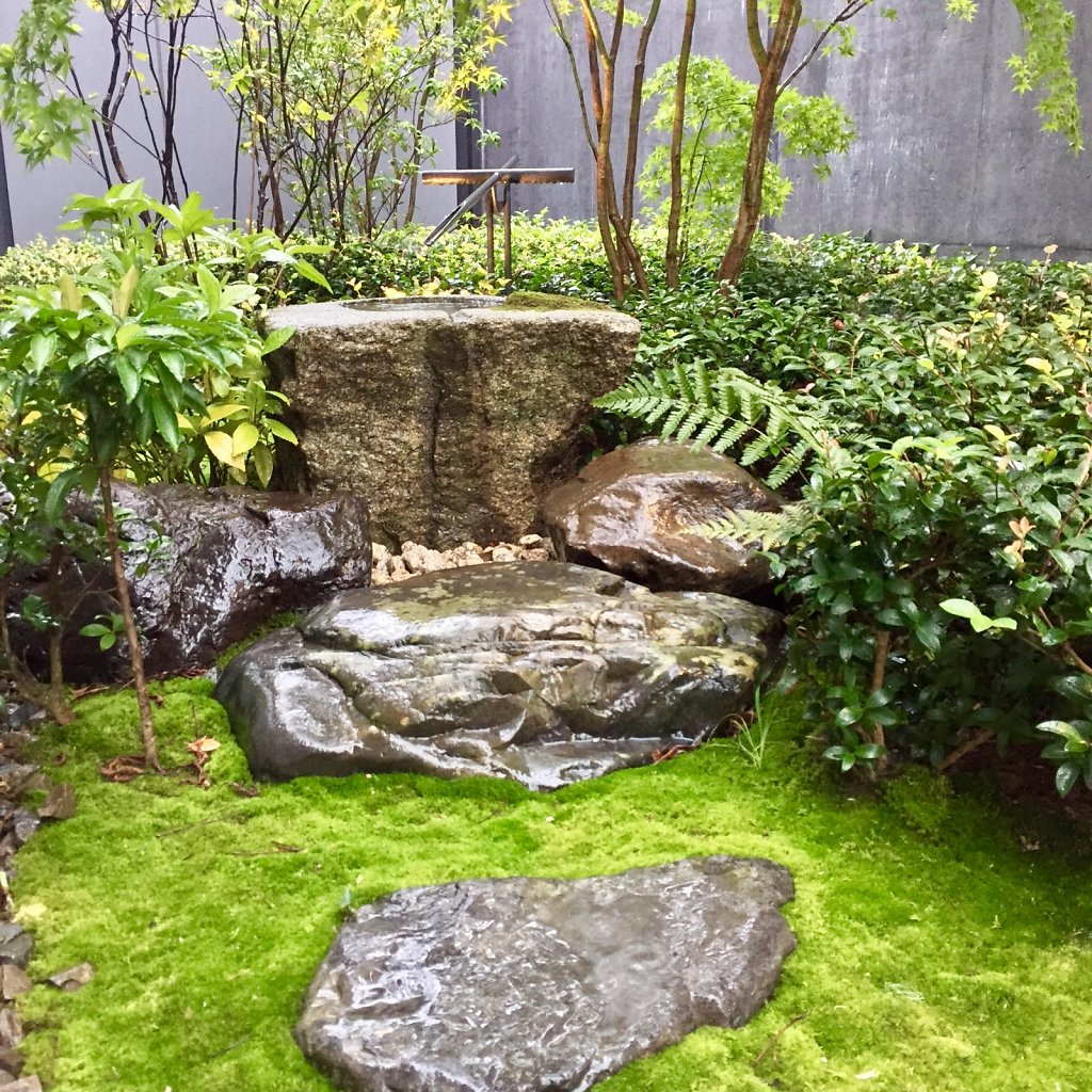 Rainy garden