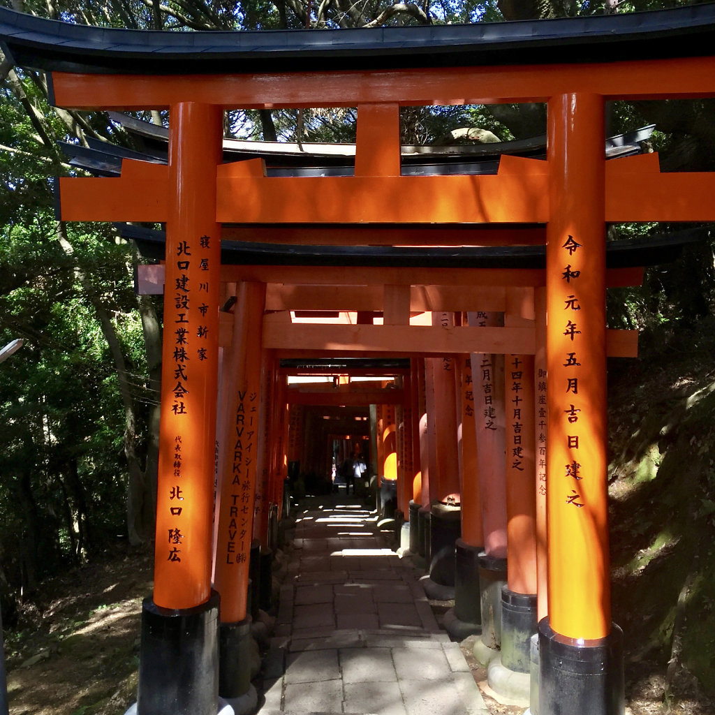 Torii gates mark the entrance