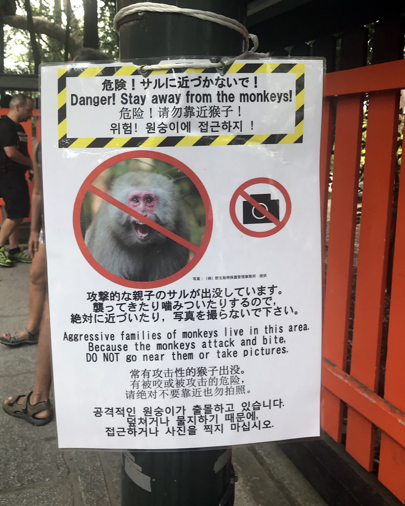 Monkey rules