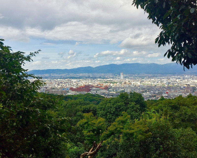 Halfway Point A Travelogue